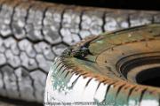 20110501_ales_agnus (2358)
